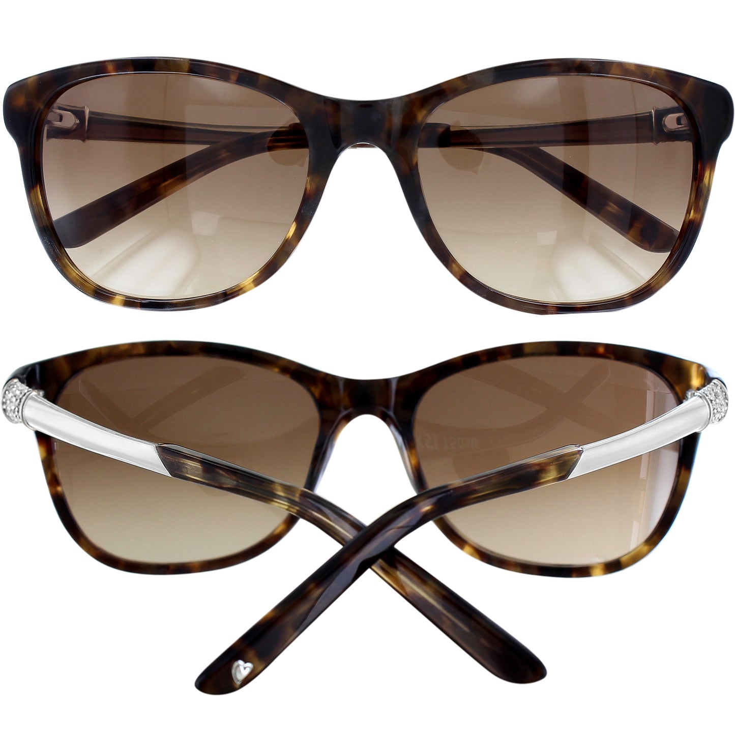 Brighton Meridian Sunglasses