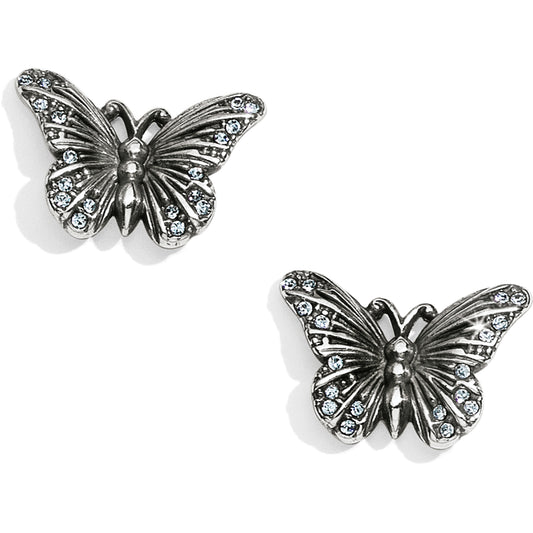 Solstice Butterfly Post Earrings - Jewelry - SierraLily