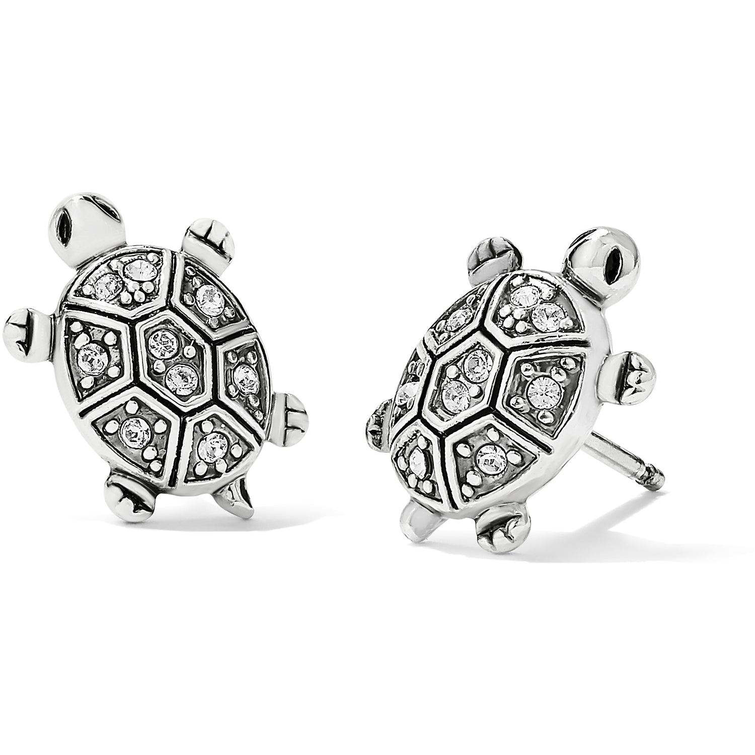 Fortune Turtles Mini Post Earrings - Jewelry - SierraLily