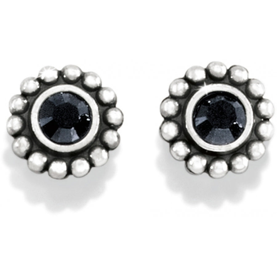 Twinkle Black Mini Post Earrings - Jewelry - SierraLily