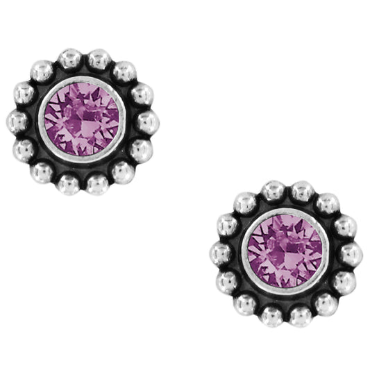 Twinkle Mini Post Earrings - Jewelry - SierraLily