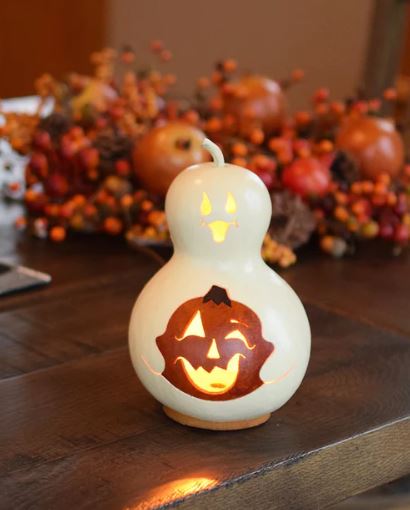 Meadowbrooke Gourds Spooky Boo